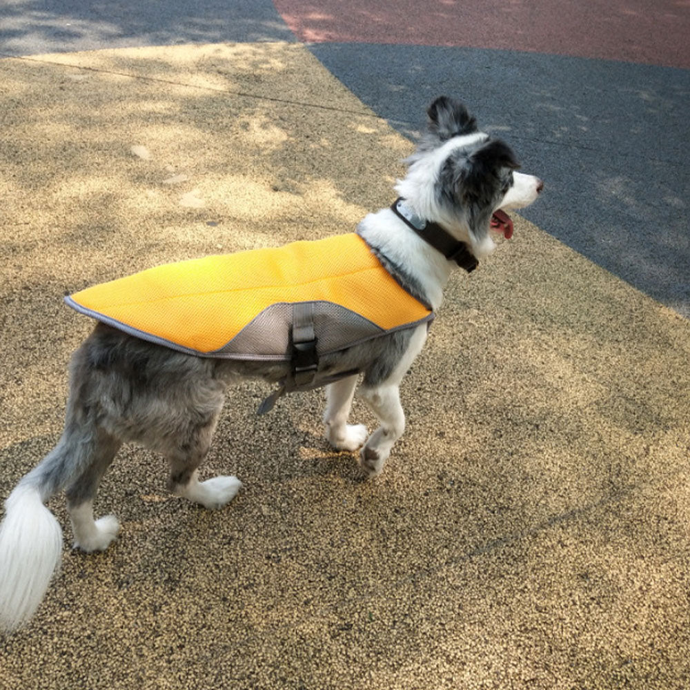 AilyxVest™ Dog Cooling Vest