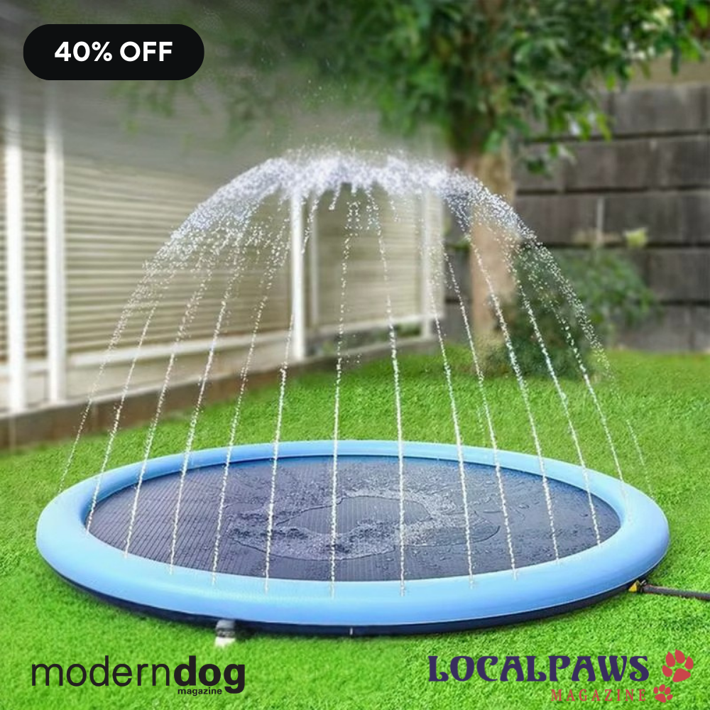 60% OFF (4).png__PID:d0f31059-e5ec-4687-8809-b58b1a6d0d98