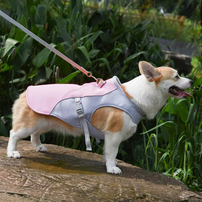 AilyxVest™ Dog Cooling Vest
